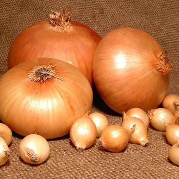 Сайты onion 18